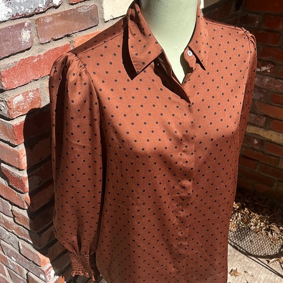 Express Brown Polka Dot Blouse - Picture 1 of 5
